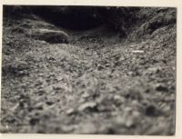 Cache at Newleycombe Lake - Mrs. B's fougou