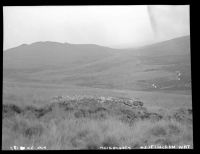 Steeperton Tor