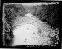 River Tavy at Harford Bridge