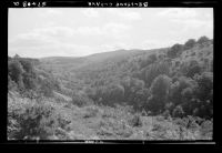 Belstone Cleave