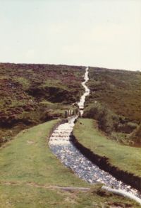 Raddicks hill, Devonport leat