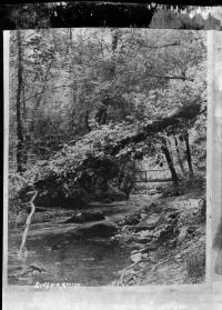 Lydford Gorge