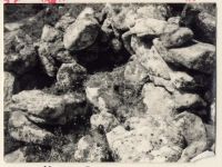 Beehive Hut near Yealm Steps