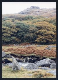 An image from the Dartmoor Trust Archive