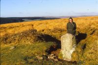 Tinners Boundstone on Riddon Ridge