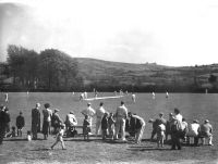 Playing Cricket at Manaton