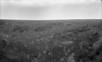 NEGATIVE OF  PLYM HEAD , A GENERAL VIEW   by R. HANSFORD WORTH,