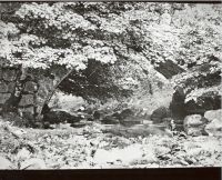 Sheepstor Bridge