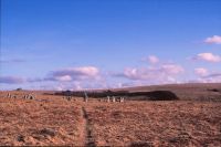 An image from the Dartmoor Trust Archive