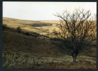 28/9 Old hill to Bala Brook 29/2/1991