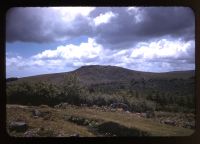 Sheeps Tor