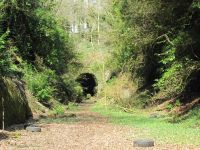 Yelverton Station and Tunnel