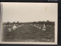 Monks with bee hives