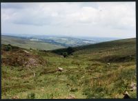 17/34 Mine workings Red Brook 20/6/1991