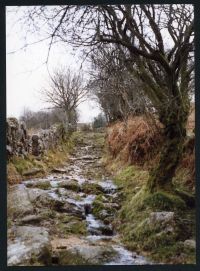 An image from the Dartmoor Trust Archive