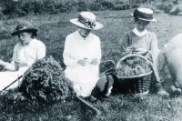 1WW OKEHAMPTON BIBLE CLASS MEMBERS SORTING SPHAGNUM MOSS