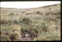 Source of the River Meavy