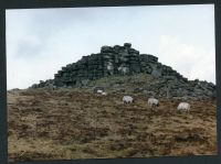 An image from the Dartmoor Trust Archive