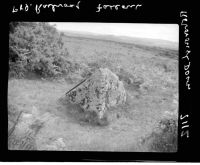 A granite boulder from Roborough Down, probably fallen from a truck when being transported on the Pl