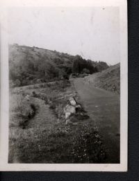 Road near Belstone