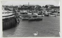 EXMOUTH HARBOUR