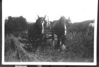 Working with a binder in the fields.