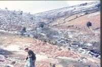 Scarey Tor, east Okement