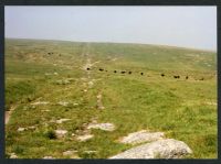 An image from the Dartmoor Trust Archive