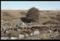 Devonport Leat 