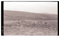 Hut circle on Shapley Common