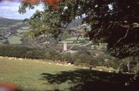 Colour image of trees, sheep, and church in the background at Widecombe in the Moor 