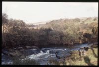 River Tavy near Harford 