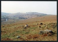 An image from the Dartmoor Trust Archive