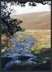 An image from the Dartmoor Trust Archive