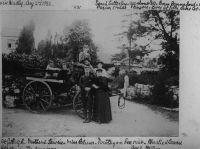 Carriage at Gidleigh