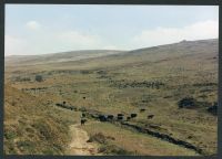 An image from the Dartmoor Trust Archive