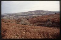 Mine Site at East Vitifer