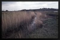 Hackney marsh running across the Newton Abbot racecourse