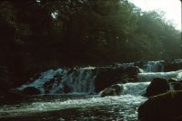 Salmon Leap (Teign)