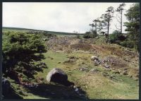 9/35 Tinners burrows below Glascombe Corner 20/6/1991