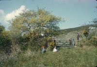 An image from the Dartmoor Trust Archive