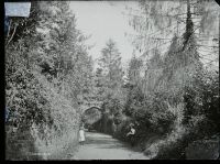 Avenue, Dawlish