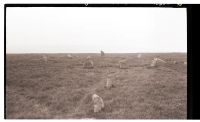 Stone Circle on Ringmoor Down