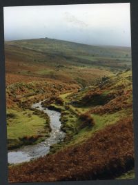 An image from the Dartmoor Trust Archive