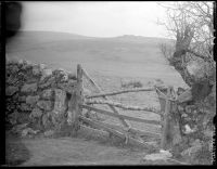 Trowlesworthy Tor from Ringmoor Down