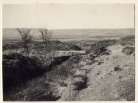 Stone bridge over the Wallabrook