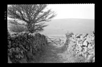 Owley Moor Gate