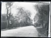 Dousland: main road, Meavy