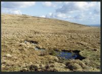 12/8 Above source of East Glazebrook to Wacka Tor 7/2/1994