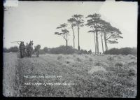 Ploughman, Dawlish